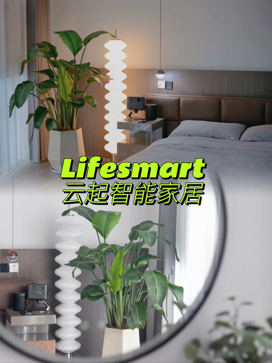 LifeSmart安卓版smartdock安卓下载