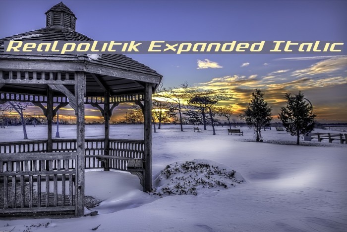 realpolitik安卓版realpolitiks2中文版