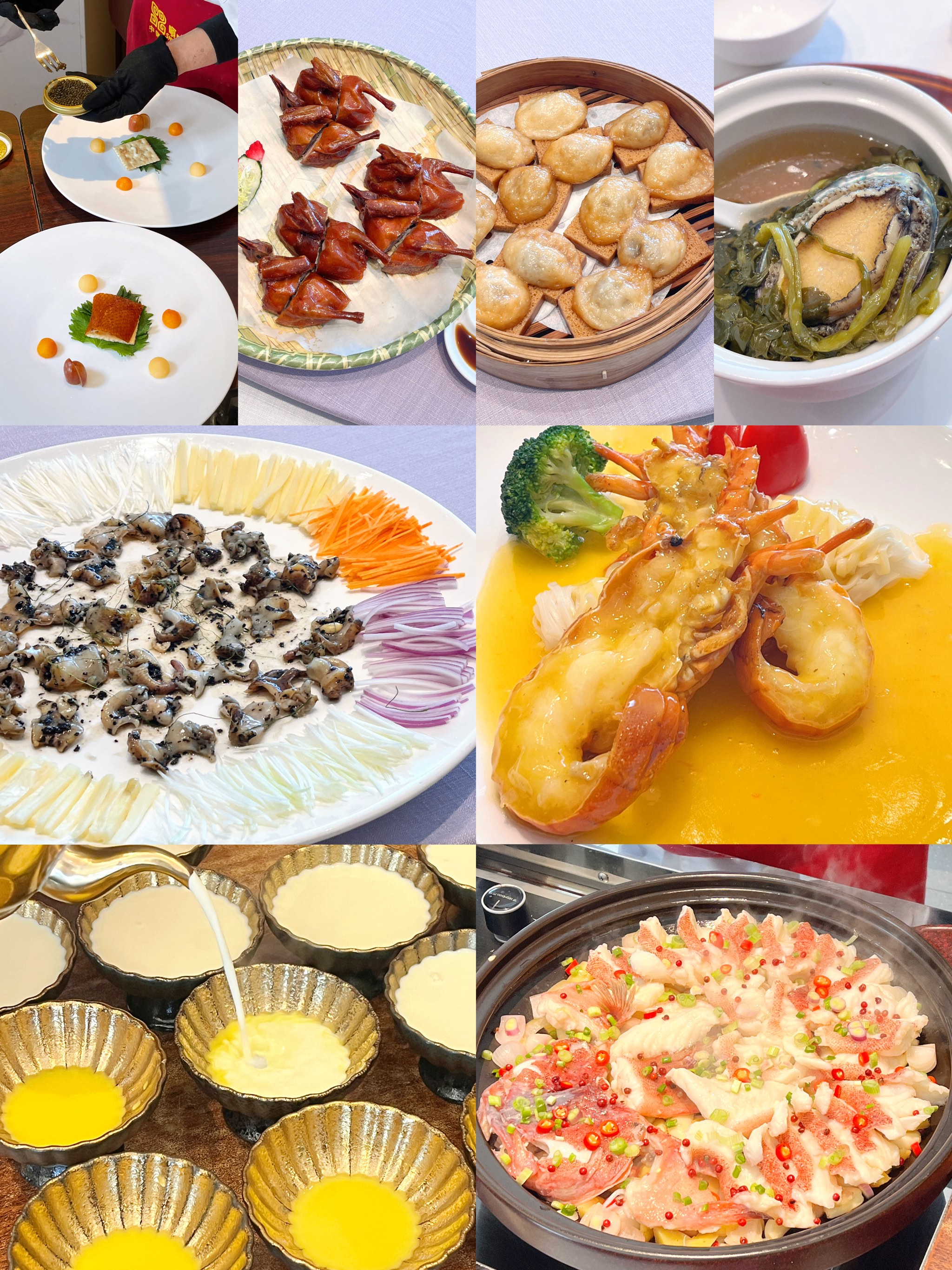 手机版斑龙技能搭配赤炎飞龙最佳技能搭配