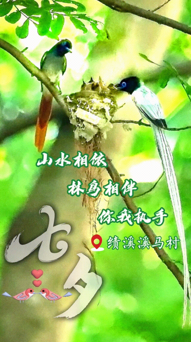 宣城日报手机客户端宣城论坛58同城招聘保姆-第2张图片-太平洋在线下载