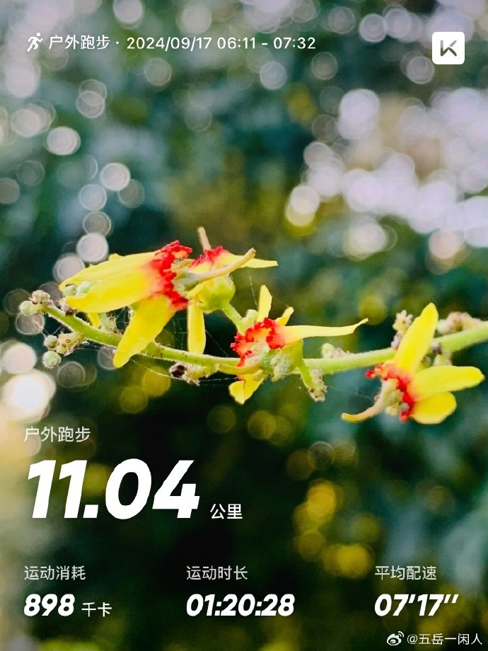 腾讯微云手机版苹果雷电云手机苹果手机可以用吗-第2张图片-太平洋在线下载