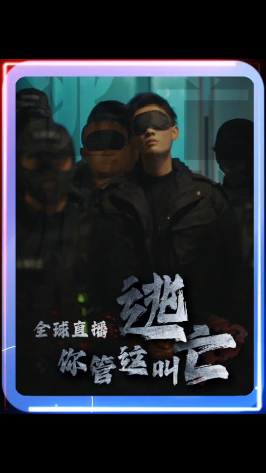 小鹰直播手机版官网小鹰直播最新手机版官网下载