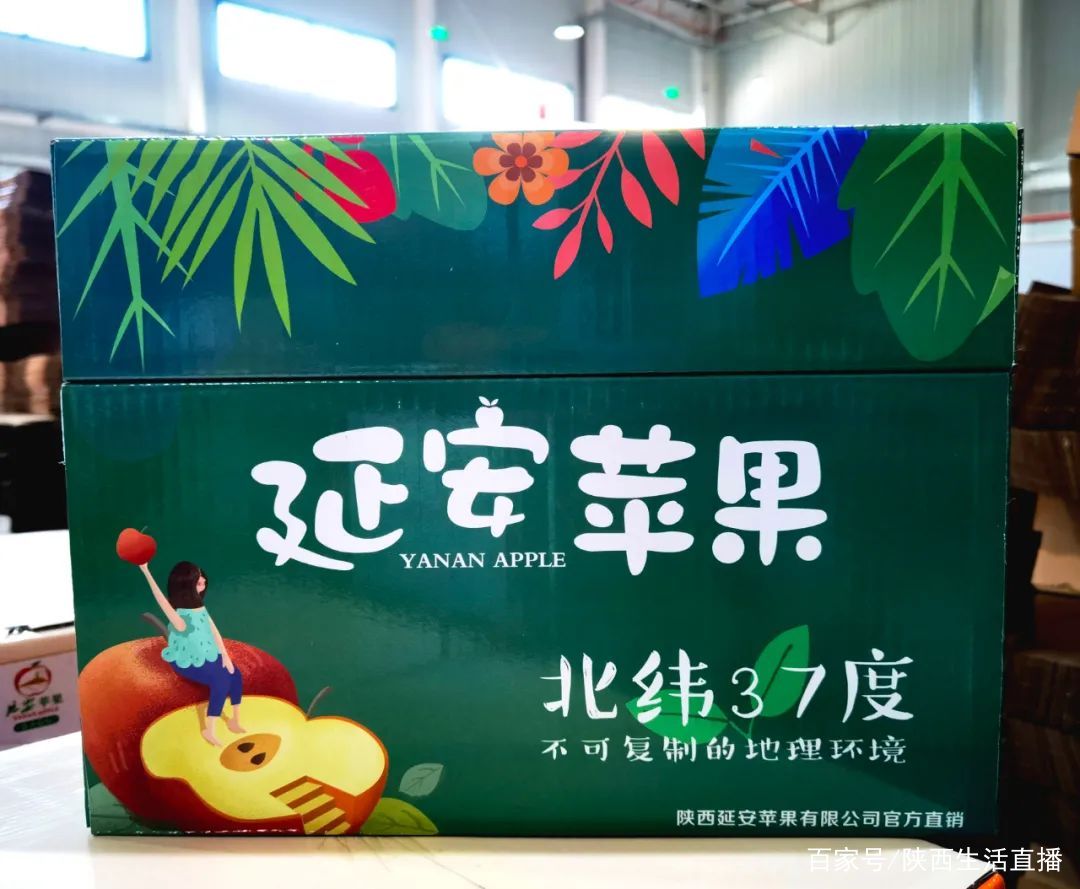 延安煤矿版小苹果延安苹果价格一览表-第2张图片-太平洋在线下载
